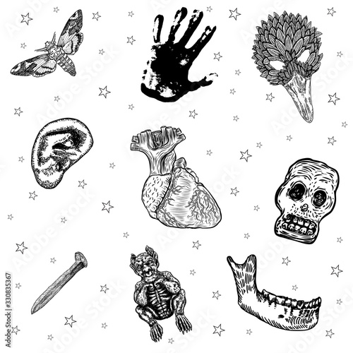 Occult set of mystic magic elements. Occultism with esoteric and witchcraft symbols. Human palm, death head hawkmoth, jaw bone, anatomical heart, skull, ear, rusty iron nail, raven, gargoyle. Vector.