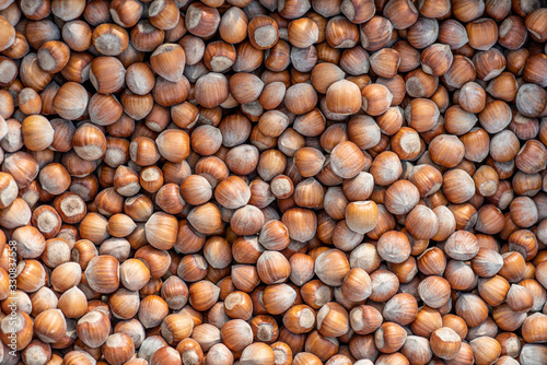 Many hazelnuts photographed closely at the market