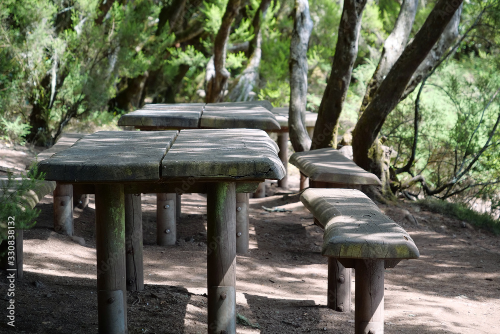 Tables, benches, places to relax in forest Tables, benches, places to relax in forest