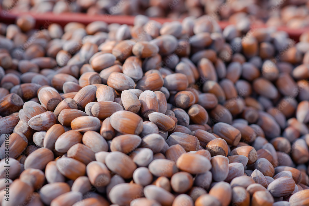 Many hazelnuts photographed closely at the market Many hazelnuts photographed closely at the market