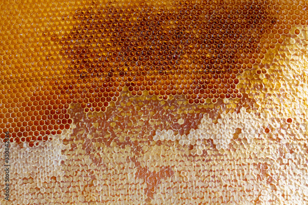 Fragment of honeycomb with full cells. Backgrounds and textures Fragment of honeycomb with full cells. Backgrounds and textures