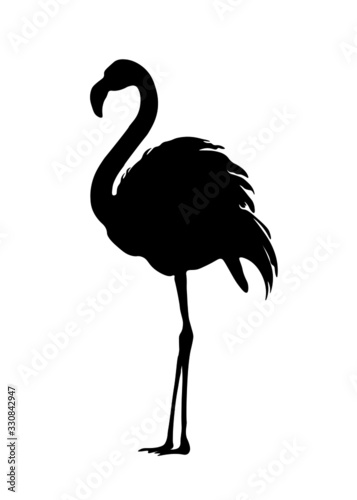 Crimson flamingo, flamingo, bird, nature, animal