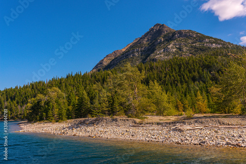 Trees and Mountains