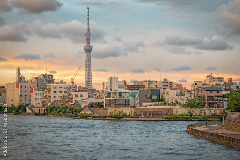 Naklejka premium Tokyo Cityscape
