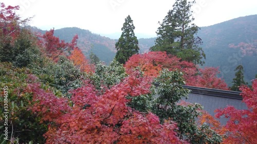 京都 紅葉の鞍馬寺と秋景色