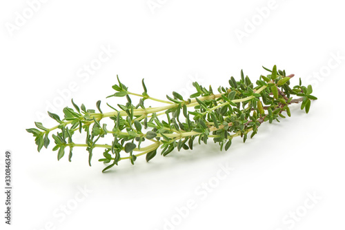 Fresh thyme sprigs, spice, isolated on white background photo