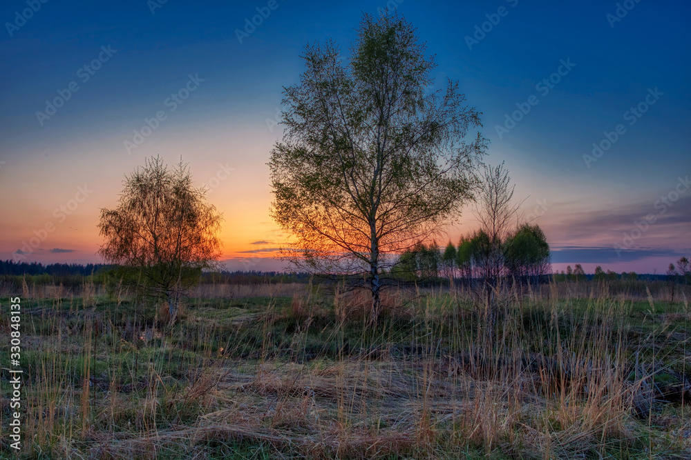 sunset field in early spring