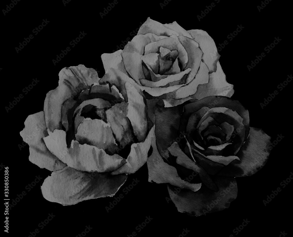 Watercolor hand painted botanical peonies, roses and leaves illustration on minimal black background Watercolor hand painted botanical peonies, roses and leaves illustration on minimal black background