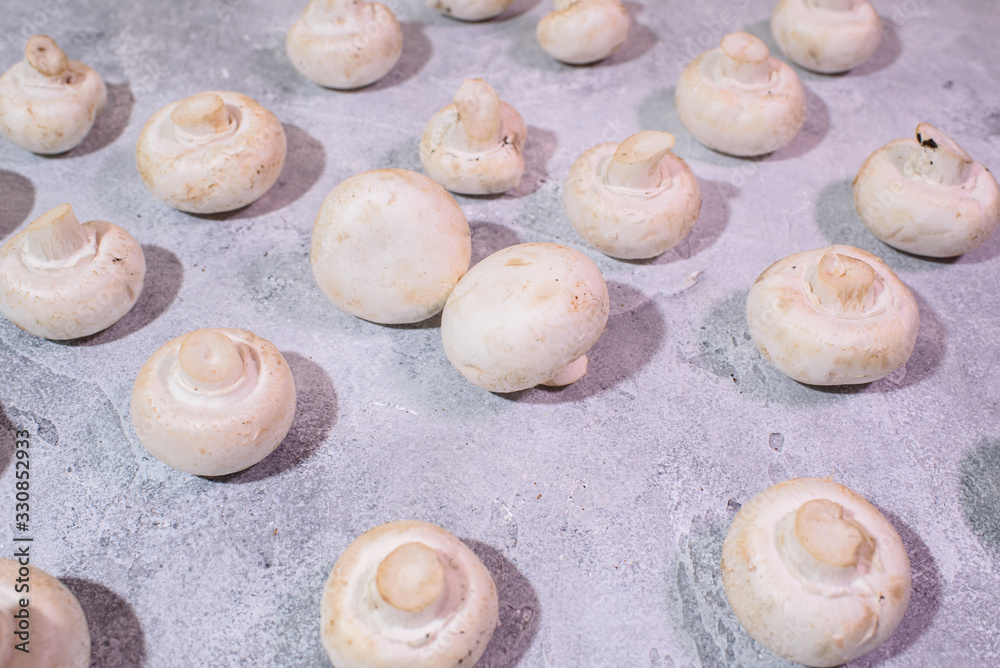 Fresh champignons. Healthy and tasty food. Fresh champignons. Healthy and tasty food.