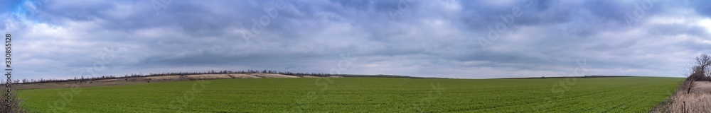 Panoramic view. Beautiful rural landscape, green field on a blue cloudy sky background