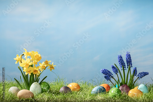 Hyacinth and narcissus flower with easter eggs in spring grass with sky