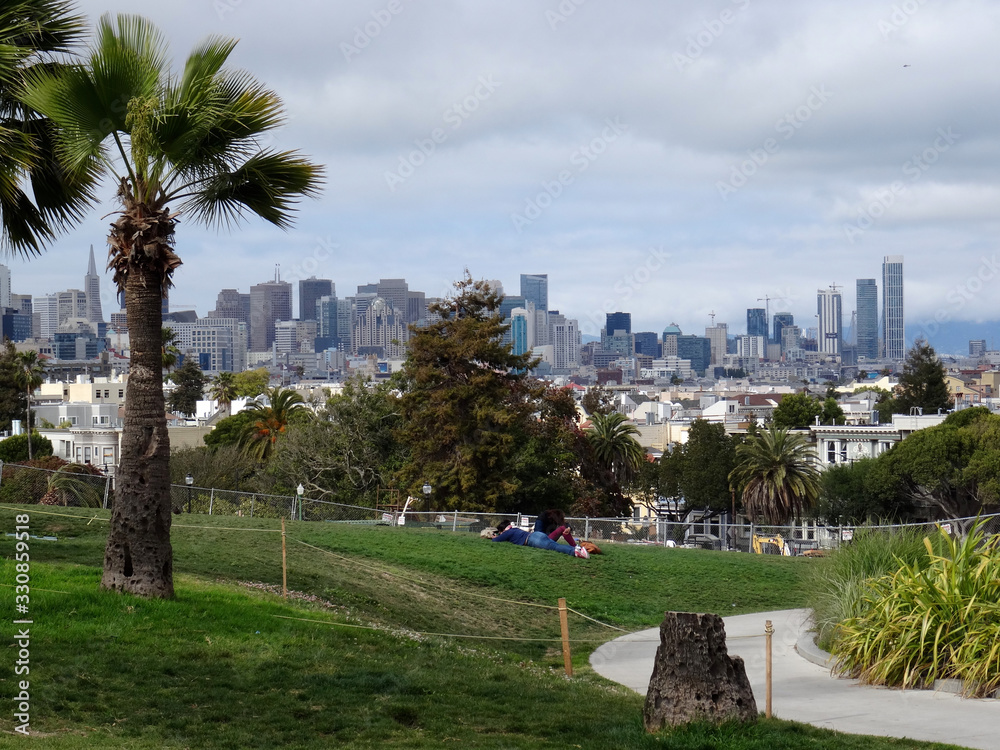 San Francisco cityscape from Alamo square park