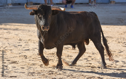 plaza de toros