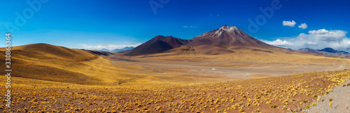 Atacama beauty