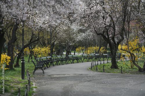 Cismigiu Park in Bucharest, during the spring season