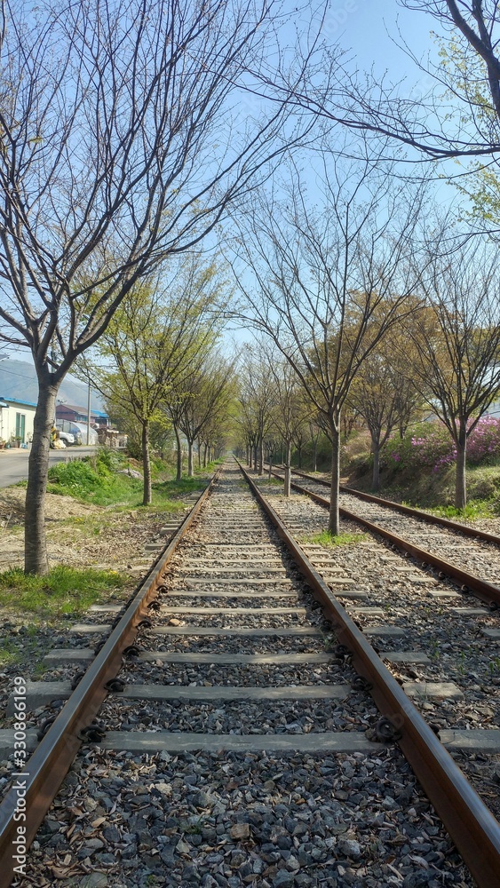 Obraz premium railway in forest