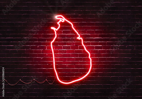 Neon sign on a brick wall in the shape of Sri Lanka.(illustration series)