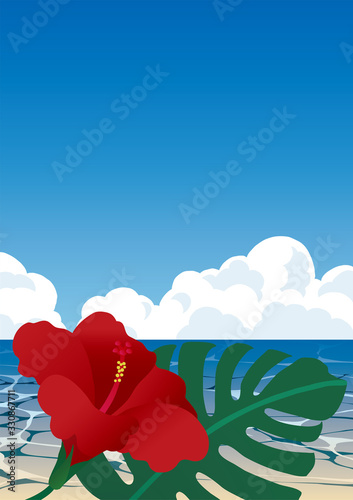 Waterside and blue sky hibiscus and monstera background material photo