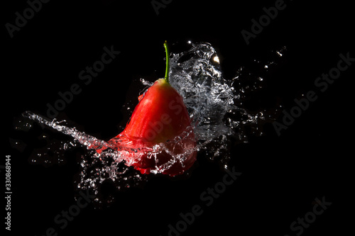The water is splashed rose apple  on the  until the water is distributed beautifully on a black background.