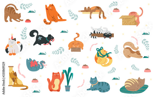 Fototapeta Naklejka Na Ścianę i Meble -  Large collection of colorful cat icons showing various different breeds and activities isolated on white for design elements, vector illustration