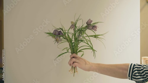 Handheld shot of florist female hand holding branches of fritillaria against grey wall background. Close up shot of violet fritillaria biflora shot on background of wall photo