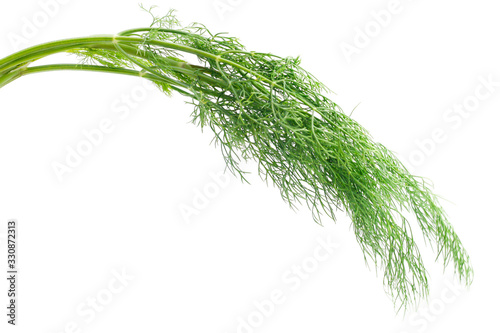 Green dill isolated on white background