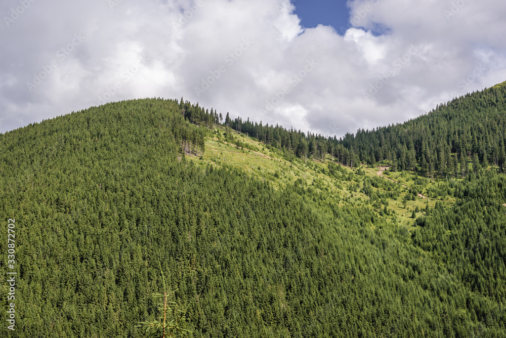 Aerial view from road near Prislop mountain pass on border of Maramures and Bukovina regions, Romania Aerial view from road near Prislop mountain pass on border of Maramures and Bukovina regions, Romania