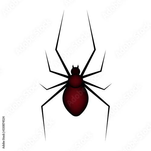 Black and red spider isolated on white background, vector illustration.