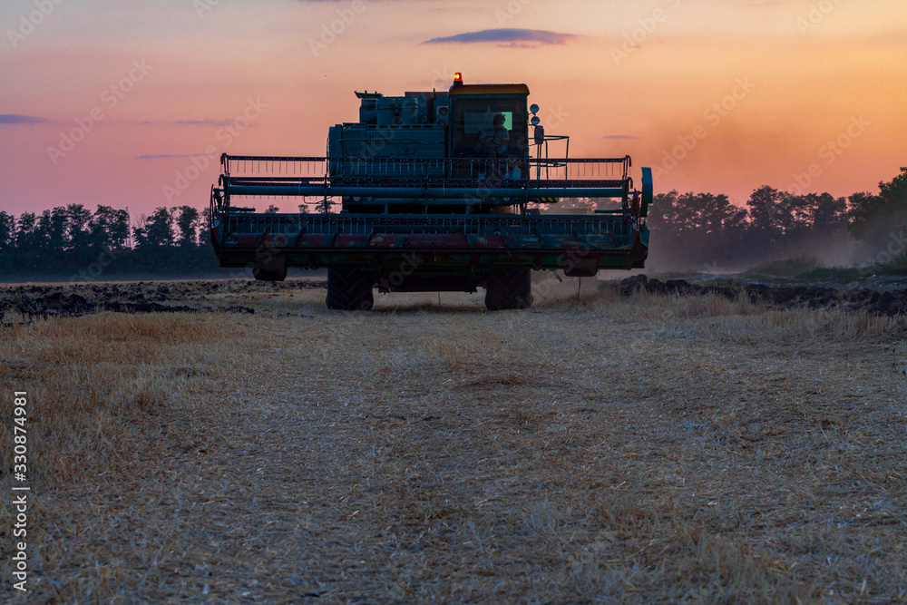 Fototapeta premium Harvesting in a wheat field combine.
