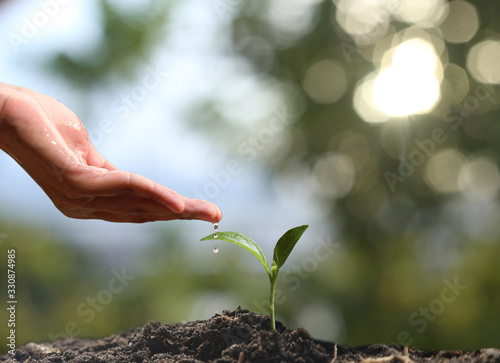 Farmer's hand watering a young plant on green bokeh nature