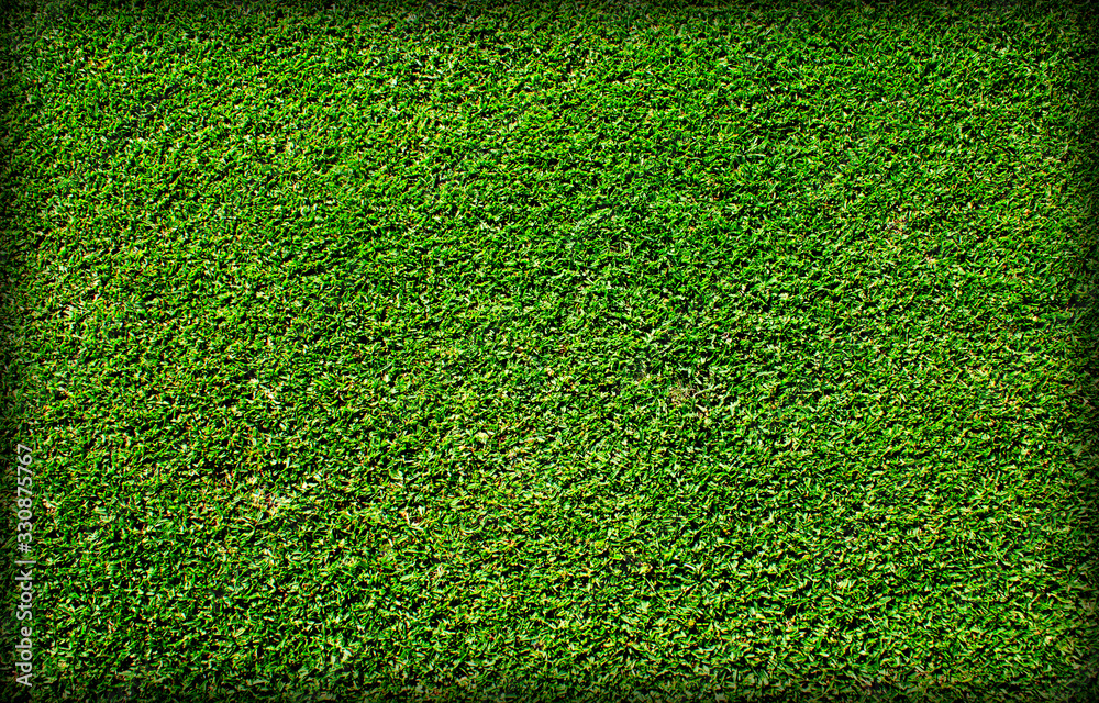 Obraz premium lawn