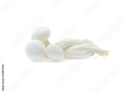 white beech mushroom or Shimeji mushroom on white background