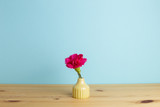 Pink spray carnation flower in vase on wooden table with blue background. Anniversary concept, floral arrangement, copy space