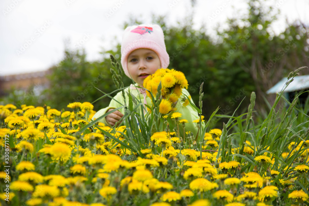 Little girl in a cap collects yellow dandelions in a clearing Little girl in a cap collects yellow dandelions in a clearing
