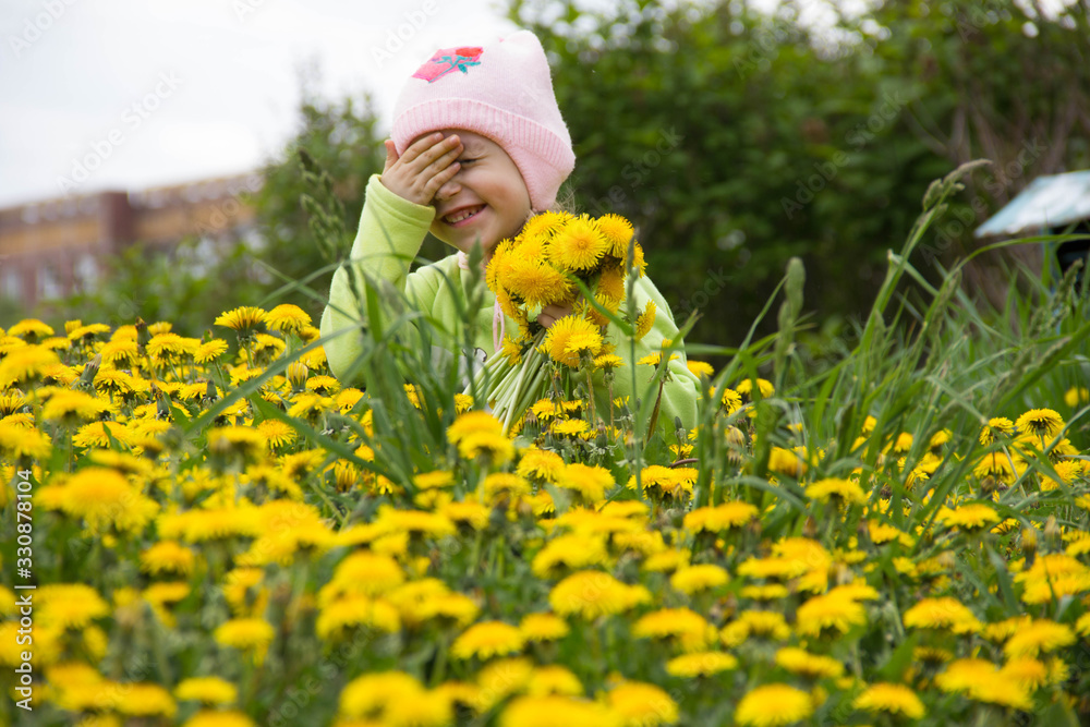 Little girl in a cap collects yellow dandelions in a clearing Little girl in a cap collects yellow dandelions in a clearing