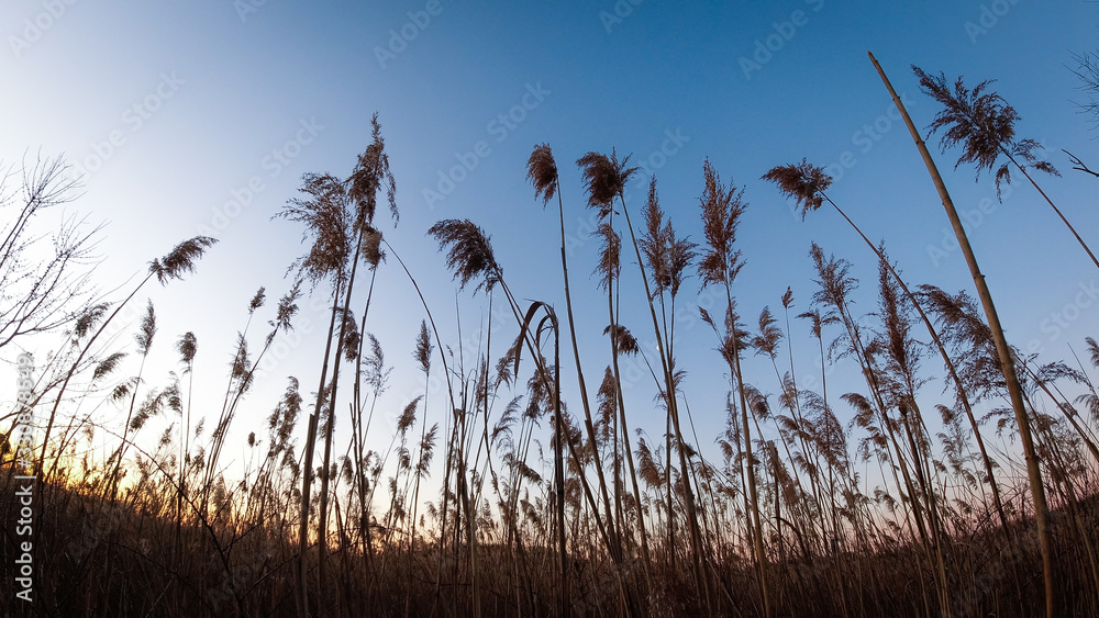 Fototapeta premium Plainsboro New Jersey Sunrise 