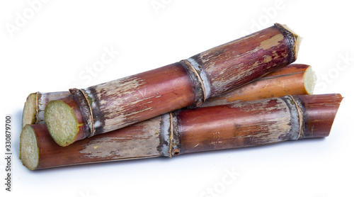 sugarcane isolated on white background clipping path