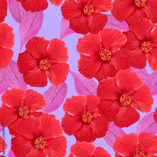 Hibiscus. Illustration  texture of flowers. Seamless pattern for continuous replication. Floral background  photo collage for textile  cotton fabric. For use in wallpaper  covers