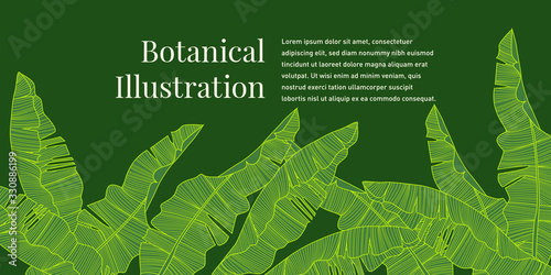 Green Tropical Leaves Pattern Background