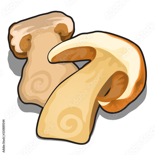 Sliced dried mushrooms isolated on white background. Ingredients for cooking delicious food. Vector cartoon close-up illustration.