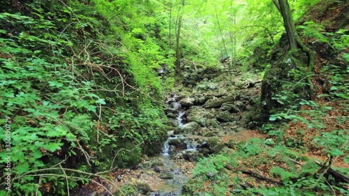 Stunning river with little waterfalls. Beautiful nature surroundings. Canyon Hudicev Graben, Slovenia photo