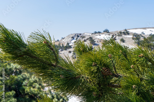 Image of a mountain plateau.