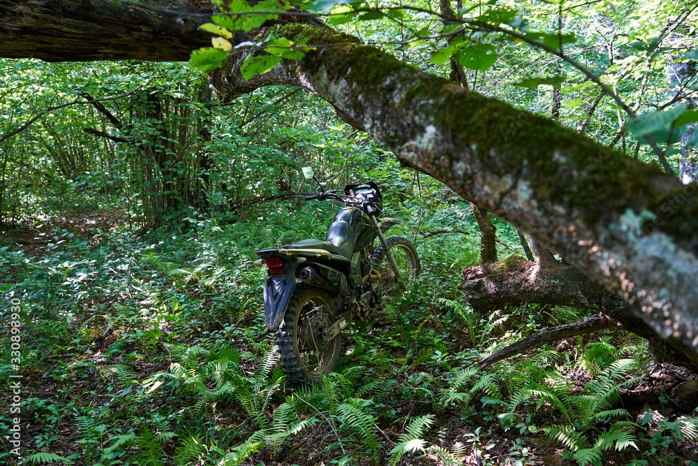 An image of a motorcycle standing in the forest.