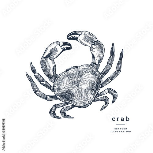 Vintage engraved crab illustration. High detailed sketch. Vector illustration