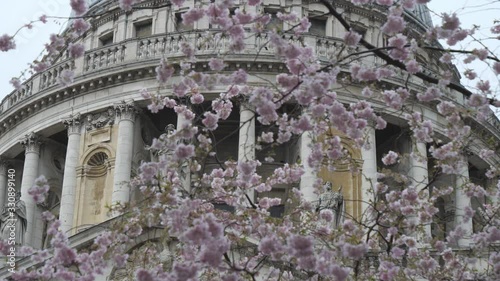 A view of the dome of the st. Paul's cathedral through a blossoming tree. photo