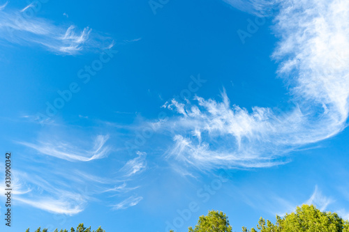 Fototapeta Naklejka Na Ścianę i Meble -  Cirrus is cloud stripe, white, feathery, ice crystal. Blue background of the sky.