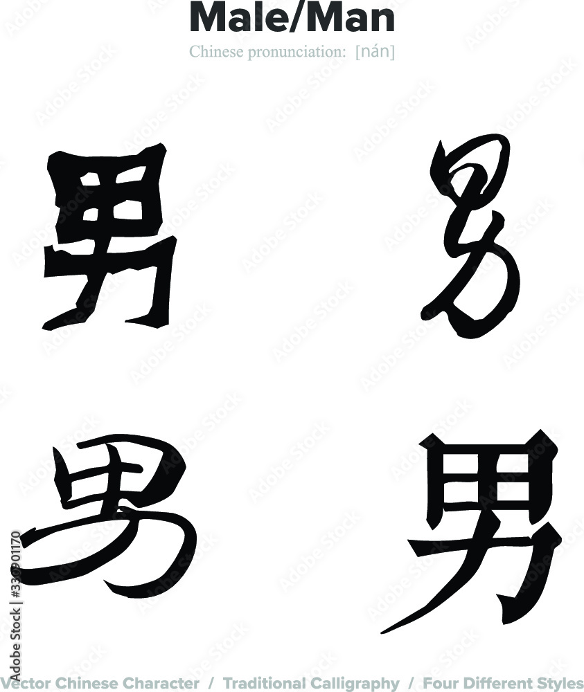 Male, Man - Chinese Calligraphy with translation, 4 styles Male, Man - Chinese Calligraphy with translation, 4 styles