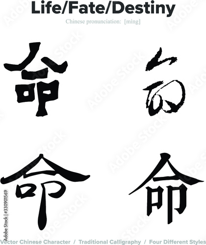 Life, Fate, Destiny - Chinese Calligraphy with translation, 4 styles