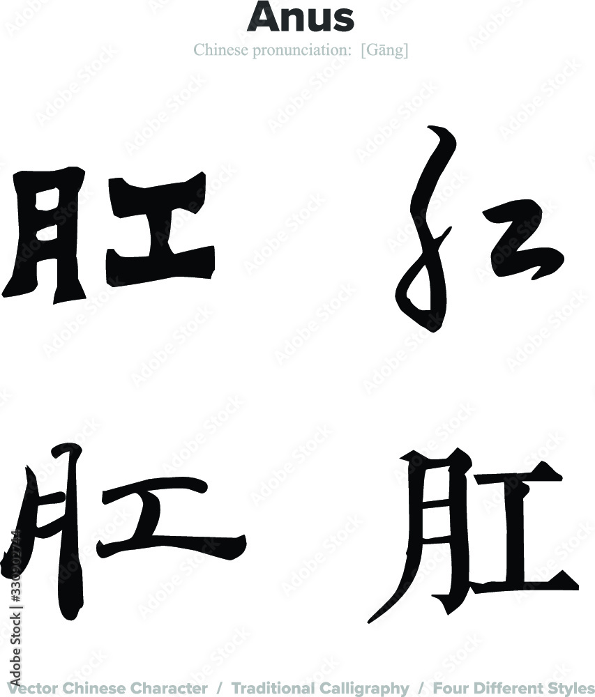 anus - Chinese Calligraphy with translation, 4 styles anus - Chinese Calligraphy with translation, 4 styles