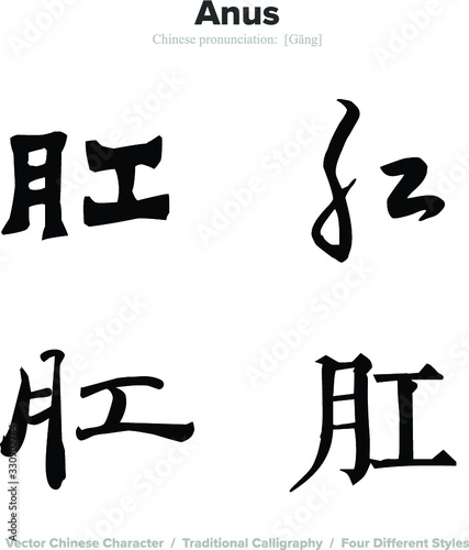 anus - Chinese Calligraphy with translation  4 styles